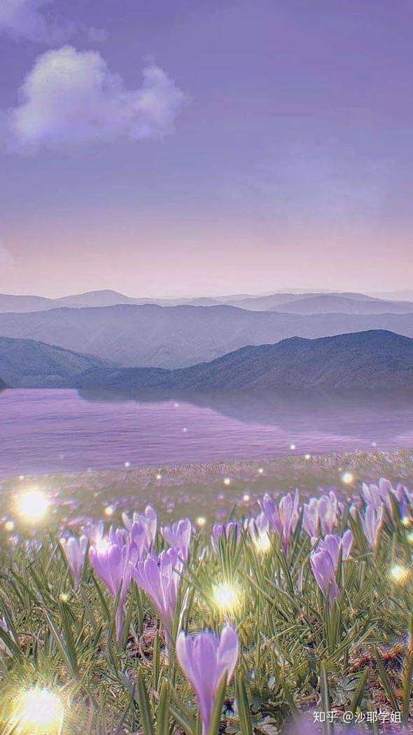 有没有类似于前程似锦,未来可期的句子?