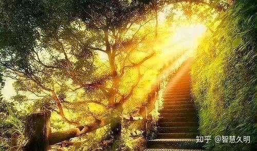 让阳光照进心灵之门