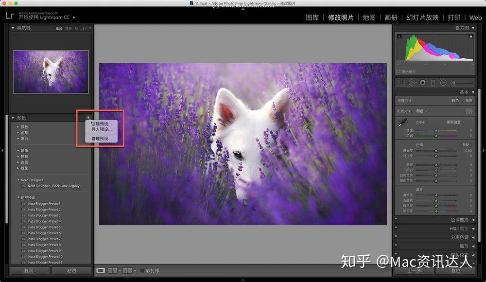 Lightroom Lr预设如何导入教程 知乎