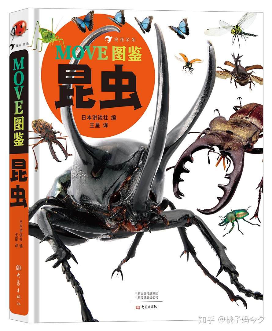 你认识多少种昆虫 10多种昆虫 开启孩子昆虫探索之旅 知乎