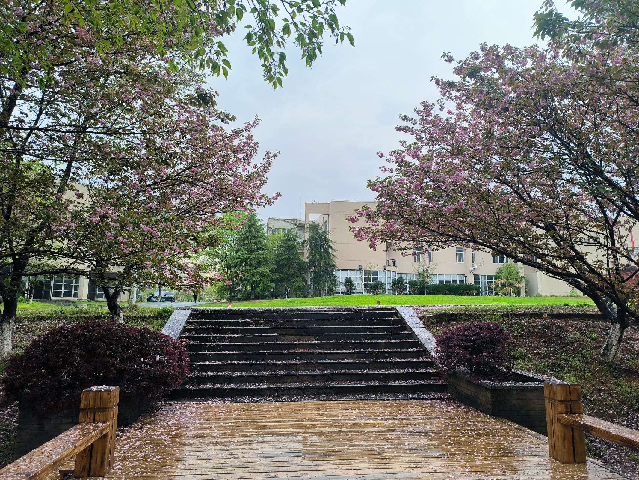 里森 的想法: 江西软件职业技术大学 | 新生宝子们可以… - 知乎