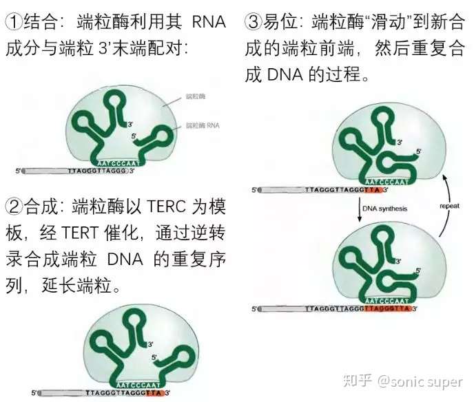 知乎专栏