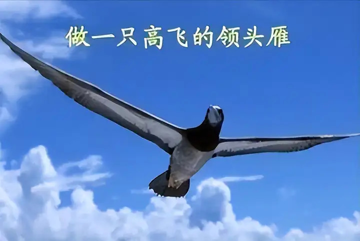 如何规划高中的升学计划?(图2) 如何规划高中的升学计划?(图2)