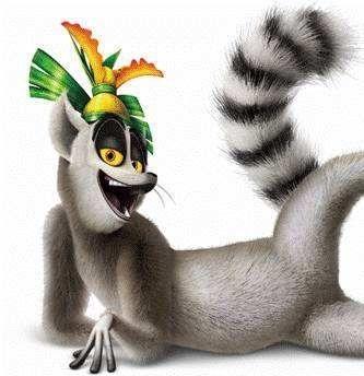 好吧,说正经的 马达加斯加环尾狐猴(lemur catta),是一种野外数量达到