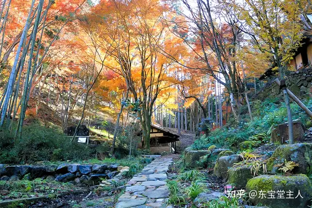 人间国宝，荒川豐藏，花器，陶艺， | nate-hospital.com