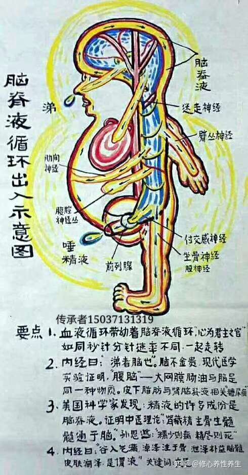 海外 正規品 小周天健康法 健康 医学 Marrakesh Co Il