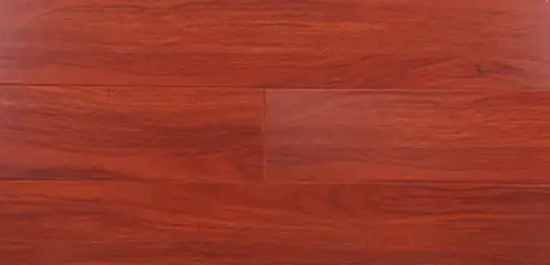 info-497-240 info-497-240