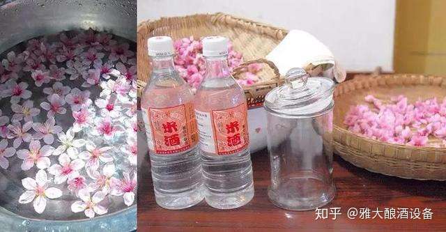 没有白酒蒸馏设备在家也能做桃花酿吗 知乎