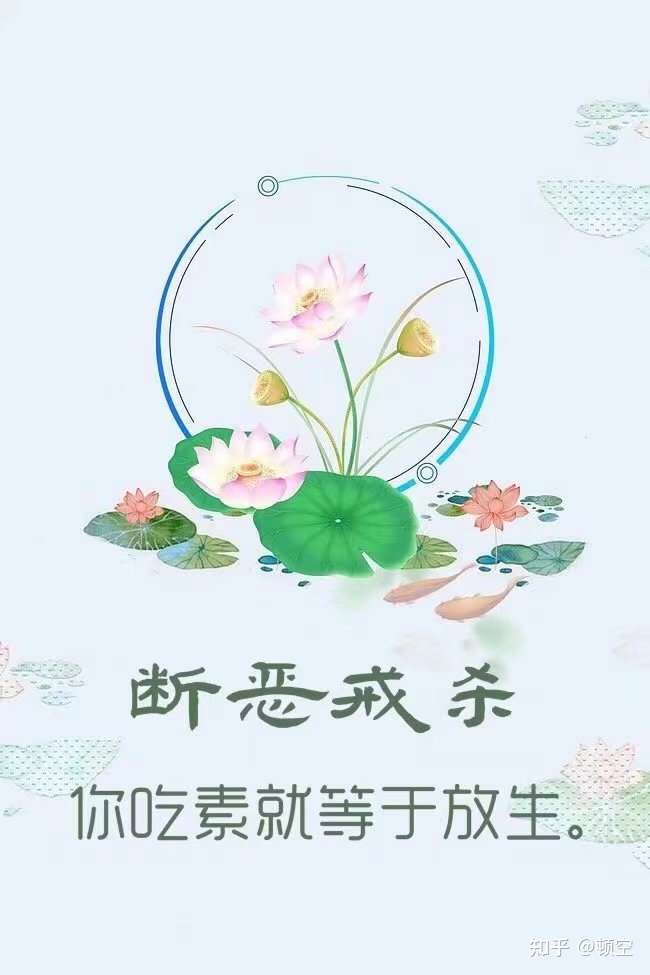 吃素好处多多