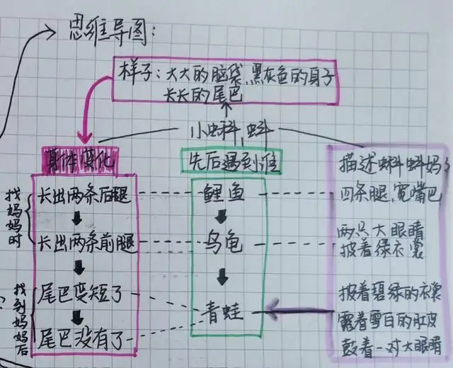「最适合家长的复习材料」部编版二年级上册《小蝌蚪找妈妈》(二年级上册,小蝌蚪找妈妈)