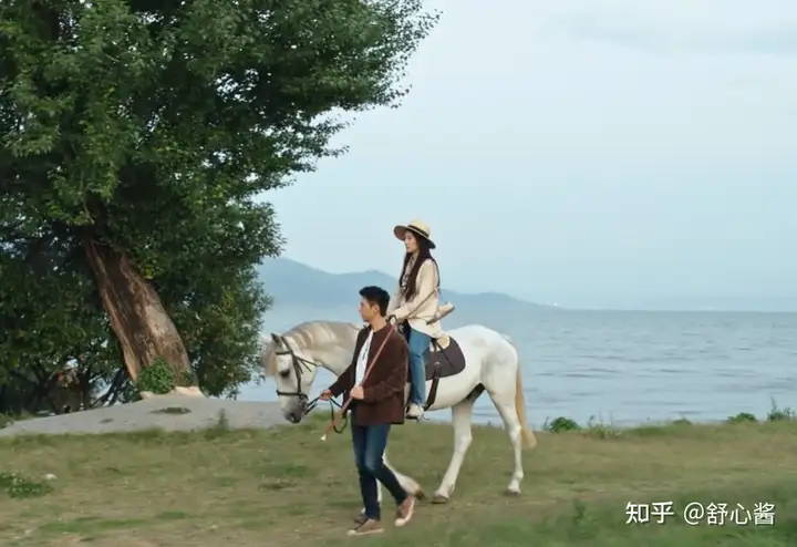 如何评价刘亦菲主演的首部现代剧《去有风的地方》？(刘亦菲演戏)