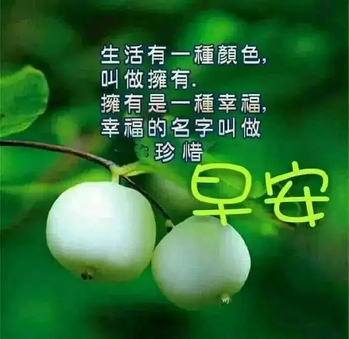 非常漂亮早安问候图片带字温馨，早晨问候语动态图片表情