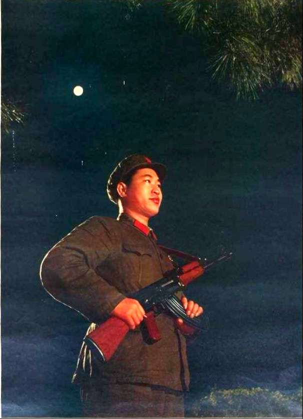 月夜哨兵图片