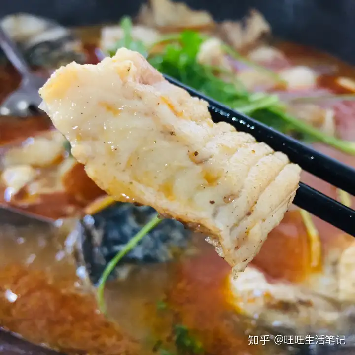 周末广州有哪些好去处?