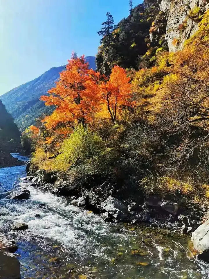 稻城亚丁几月份去最好（稻城亚丁旅游攻略）