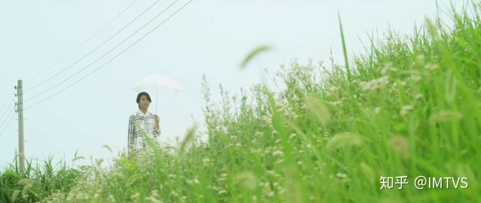 春天 这个提名不少的韩片 故事却听起来很扯 知乎