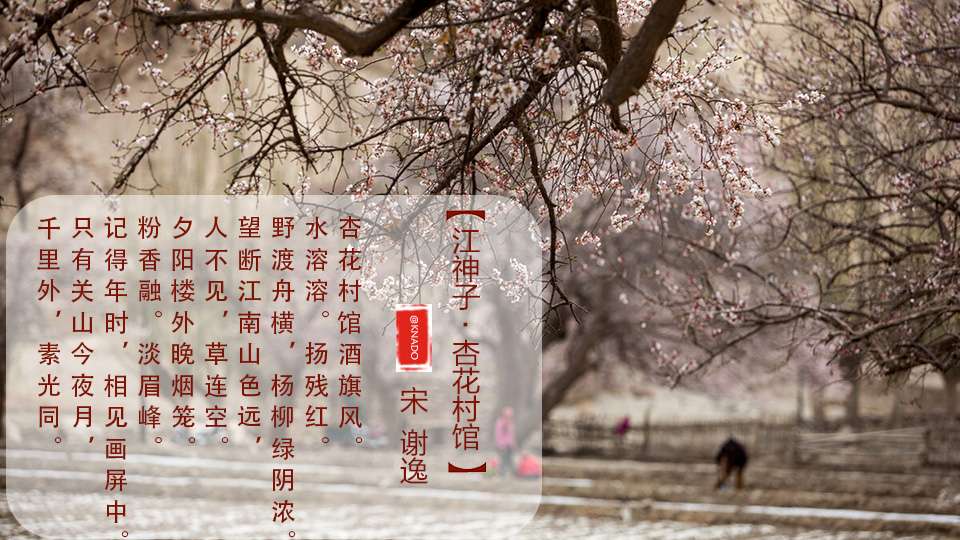 杏花春雨江南 赏析古典诗词里的杏花之二 知乎