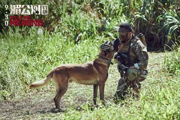 如何评价中华之剑这部纪录片