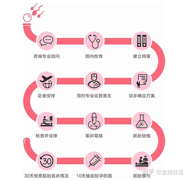 上海供卵（12步看懂试管婴儿全流程，不用在担心不知道怎么做了！）