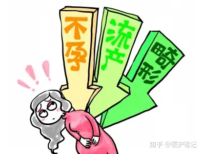 因為醫學鑑定顯示:女性最佳生育年齡是23-28歲.