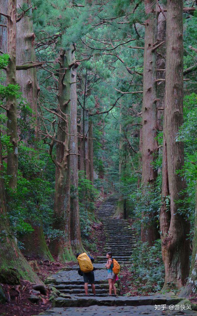日本徒步攻略 日本有哪些经典徒步线路 日本熊野古道徒步攻略 知乎