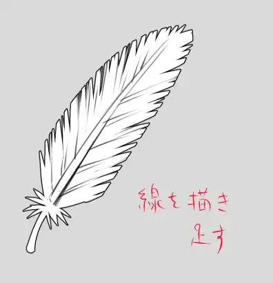 没有羽毛笔刷时画羽毛的简单方法