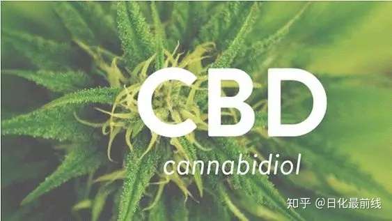 一文了解cbd 大麻二酚 的市场概况及发展趋势 知乎