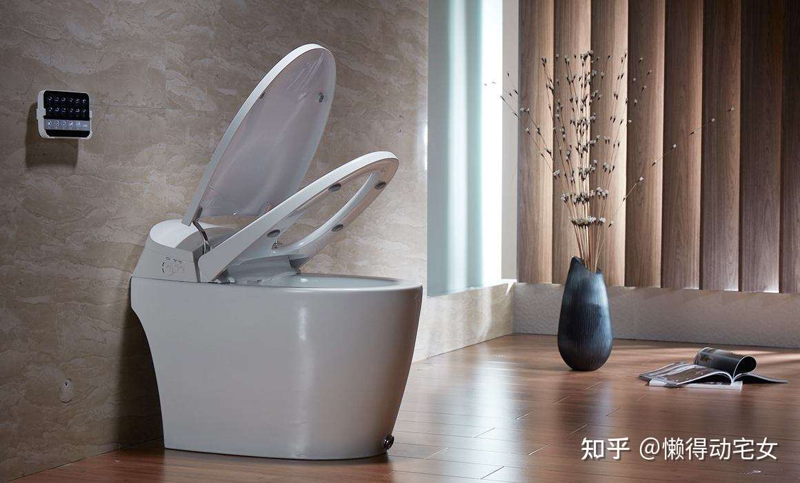 22智能马桶怎么选 恒洁 松下 Toto 科勒哪个品牌的智能马桶最具性价比 智能马桶选购指南 知乎