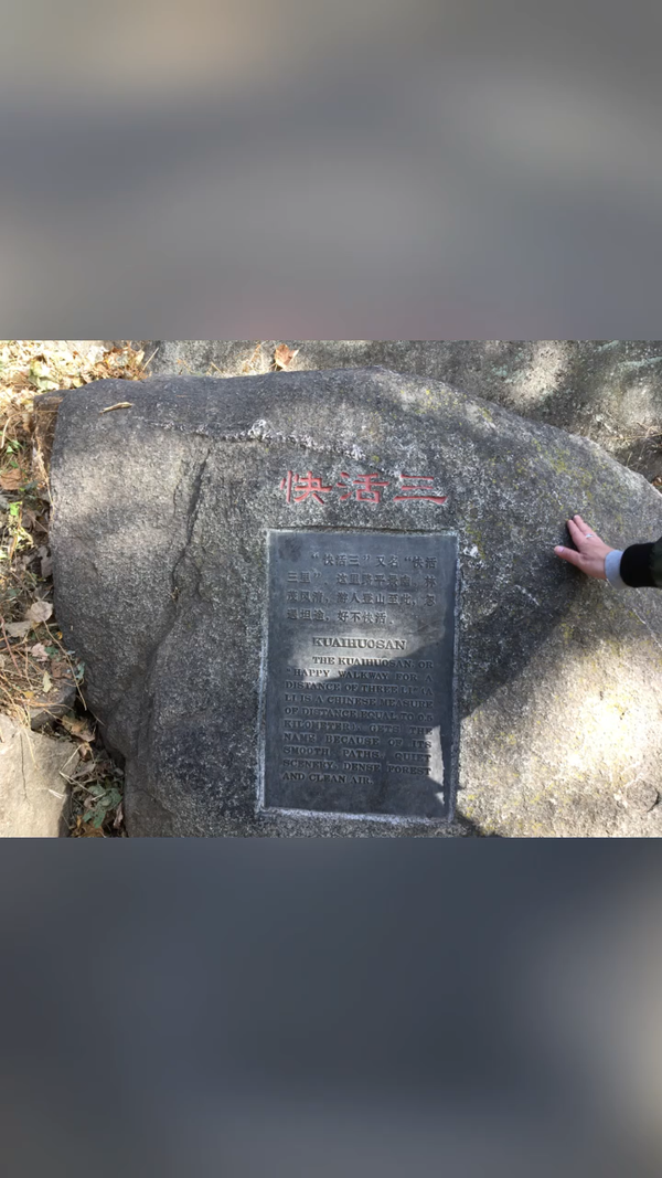 青竹山俗 的想法: 泰山快活三