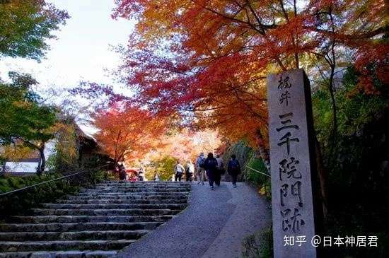 关西最美枫叶来袭 对不起 今年我只来京都赏枫 知乎