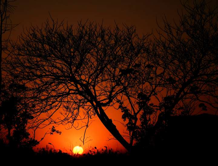 你好 陌生人 可以留下一张夕阳的照片吗?