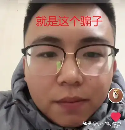 網上買貓指南，避坑必看