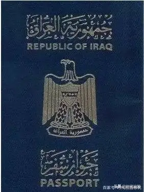 他们的护照,分别是:南非,埃塞俄比亚,吉布提,比利时,英国,法国,南苏丹