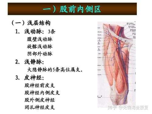 大腿正面麻木是为什么?