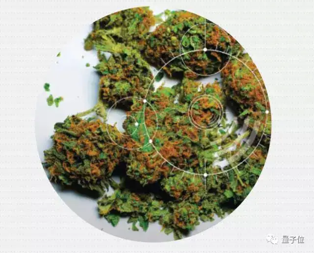 8个你意想不到的人工智能应用4 8个你意想不到的人工智能应用