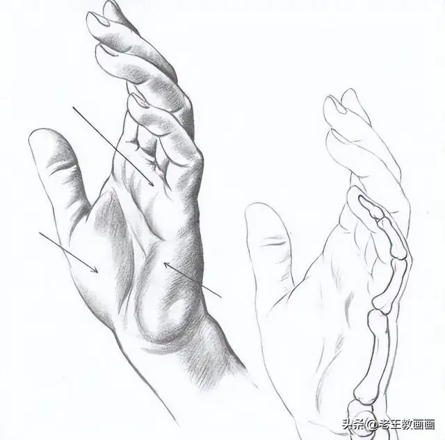 素描入门基础画步骤（素描基础入门教程）