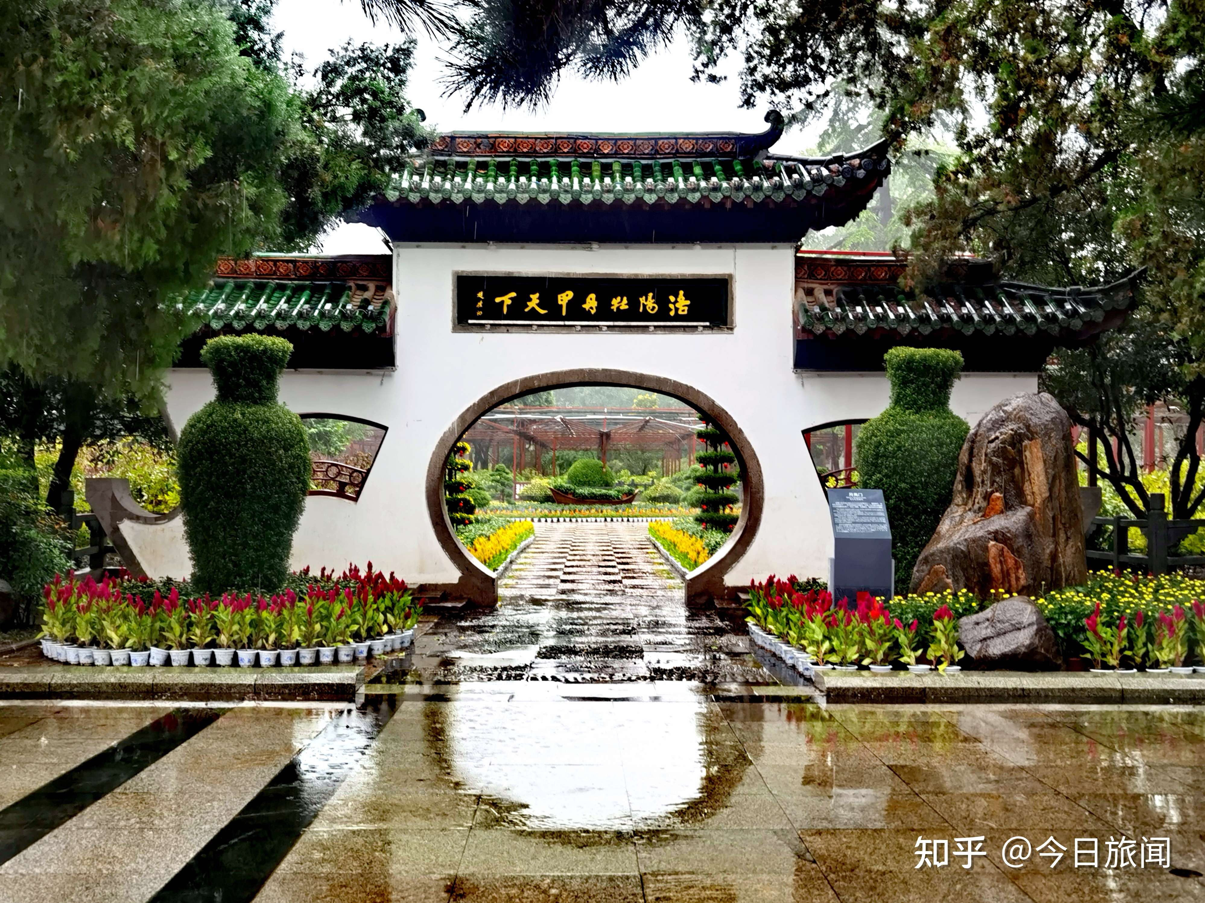 今日旅聞 的想法: 雙節將至,洛陽王城公園icon3萬餘盆菊花… - 知乎