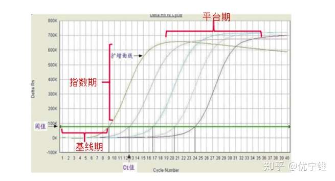 qpcr这件 小 事儿 知乎