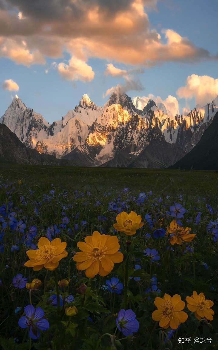 荥阳网站建设美丽文案范文的简单介绍
