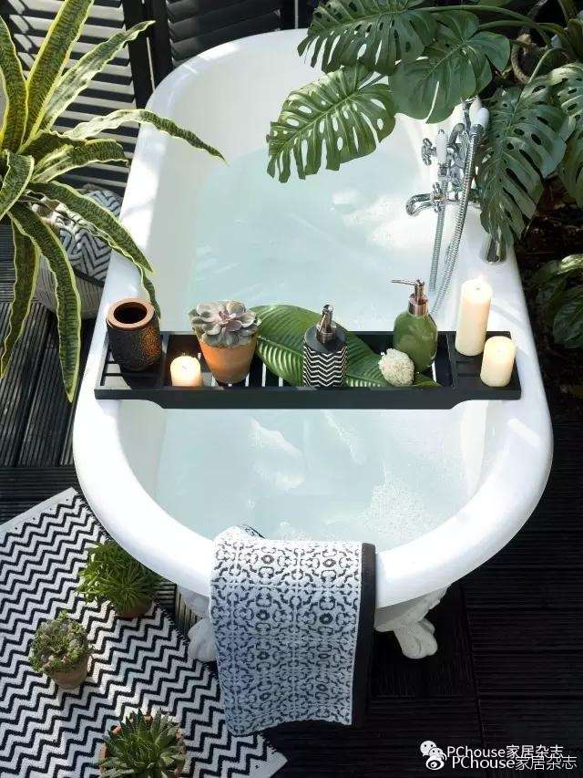 浴室中应该这样布置绿植 知乎
