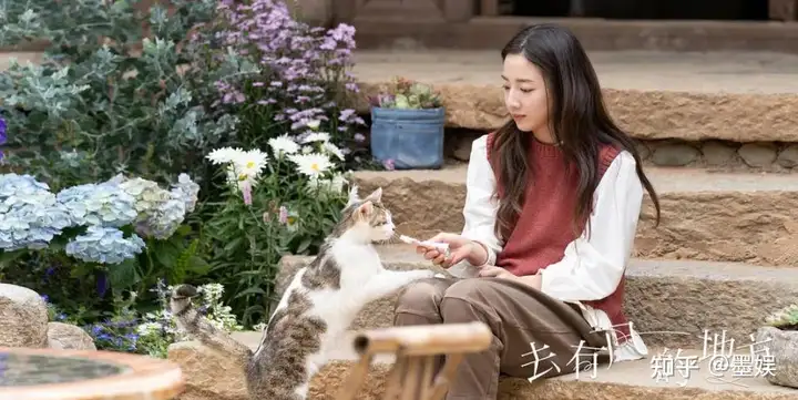 《去有风的地方》观感度如何？(有风的地方有暖阳歌词)