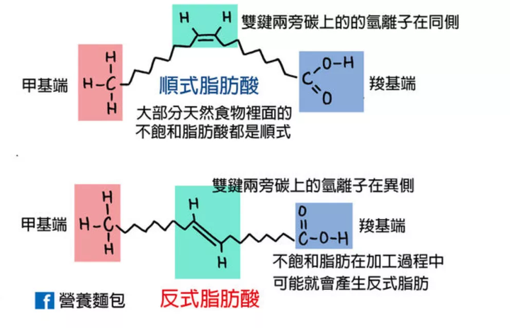 反式脂肪酸结构图片