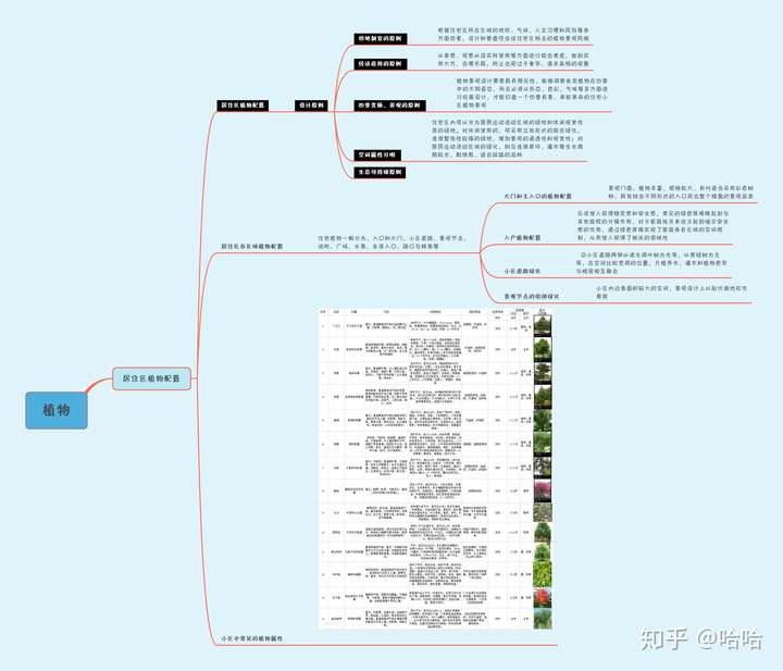 植物- 知乎