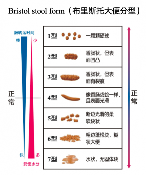 关键词大便干燥吃什么好排便，便秘吃什么东西效果最好