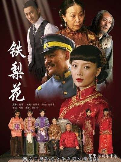 说一个老剧吧《铁梨花》豆瓣评分7.