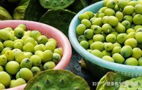 莲子有什么功效、莲子红枣汤的功效、莲子泡水喝的功效？（莲子红枣煮水喝的功效和作用禁忌及副作用）