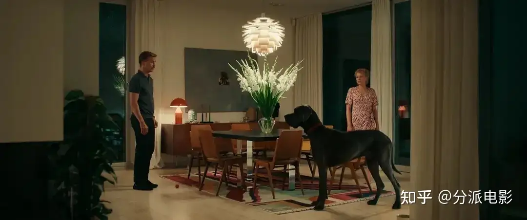 《孔雀：我是真的吗？》年度荒诞喜剧神作！