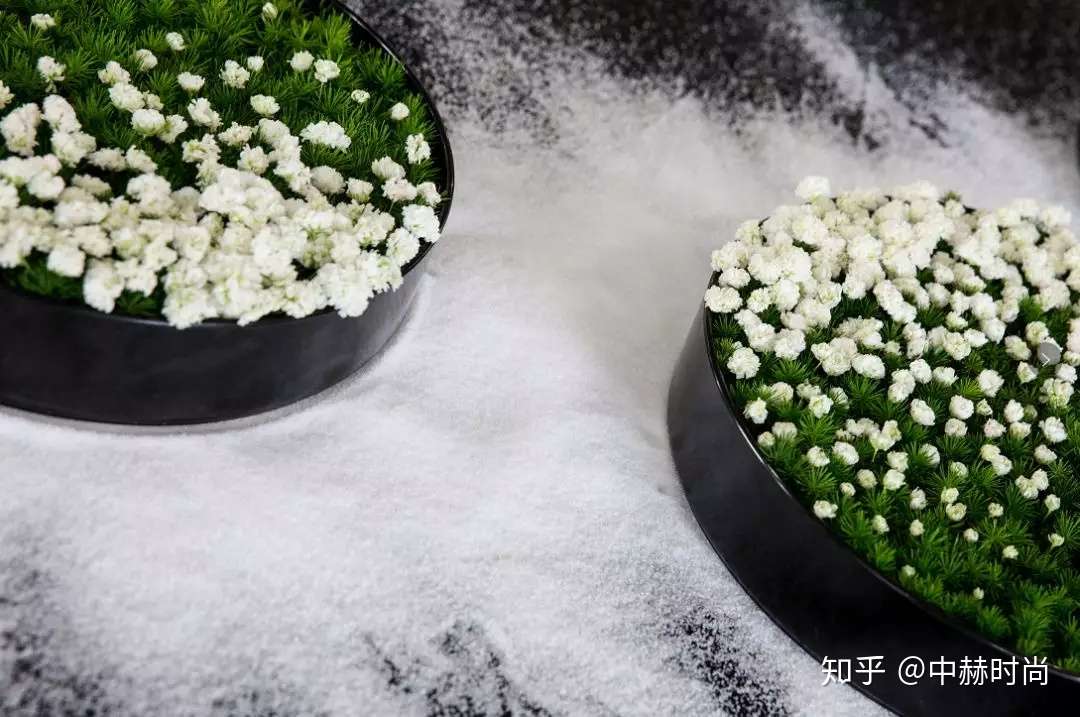 丹羽英之空间花艺 静寂无人时 我听到了她们窃窃私语 知乎
