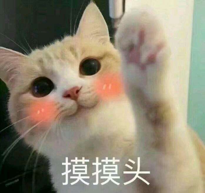 一直回复你「嗯嗯」的女生怎么追啊 ? 一直回复你「嗯嗯」的女生怎么追啊 ?
