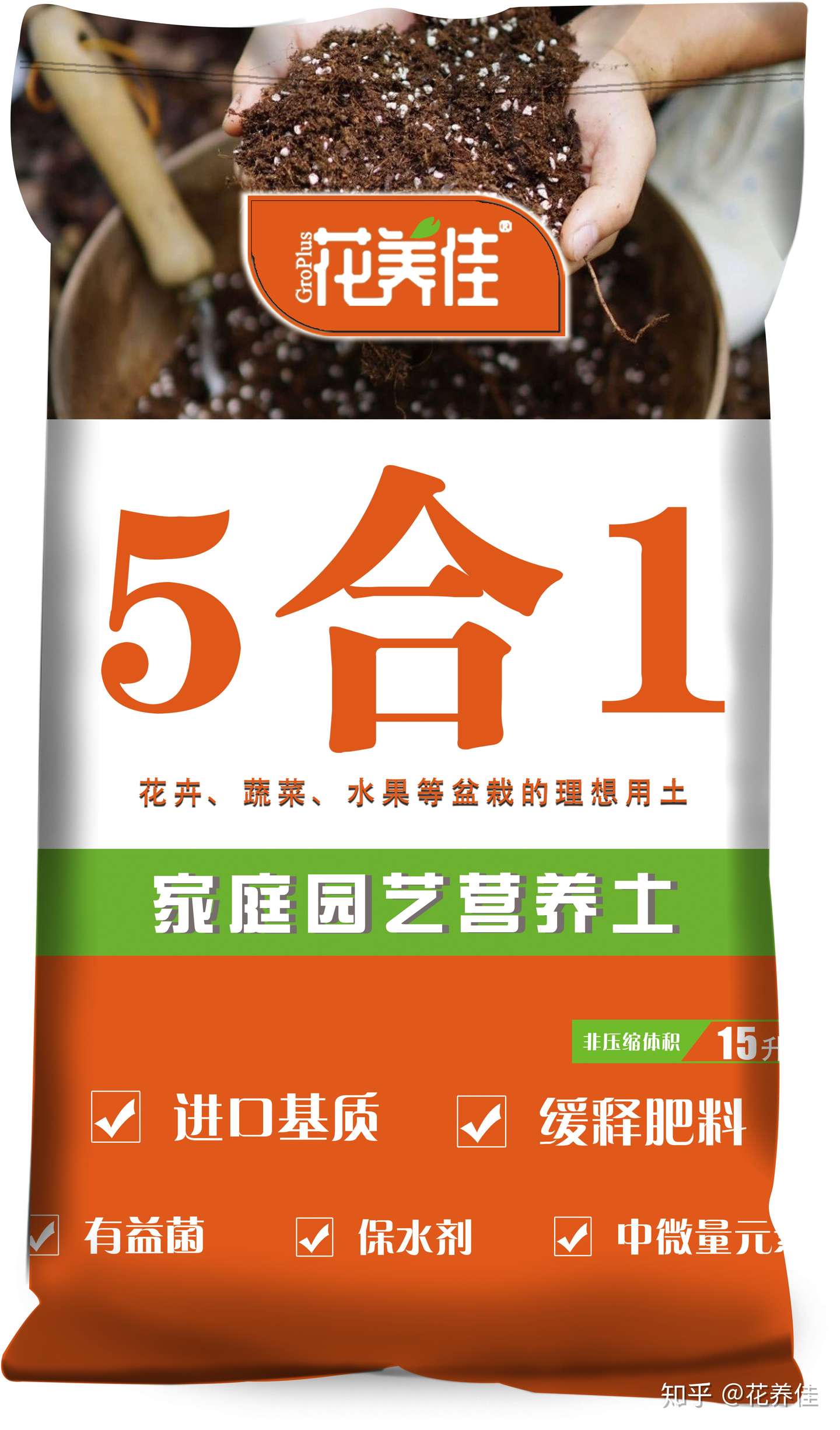 玉树的家庭养护方式及注意事项 知乎